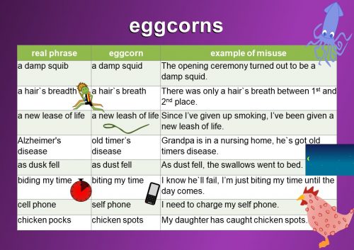 best eggcorns examples