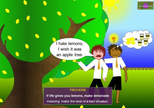 English proverbs list - if life gives you lemons