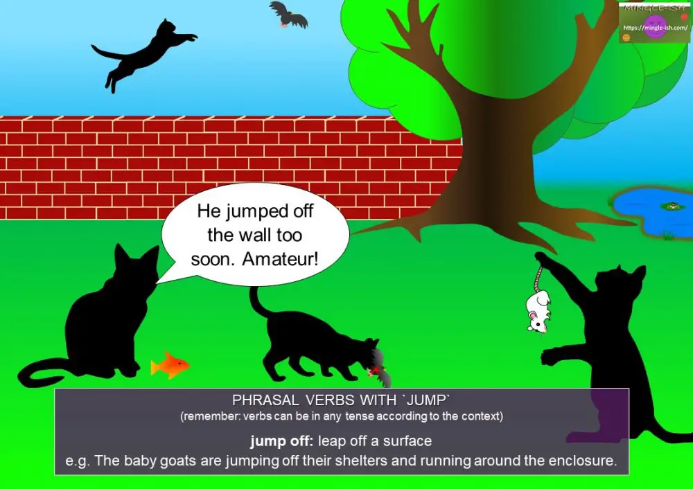 Phrasal verbs with jump Mingleish