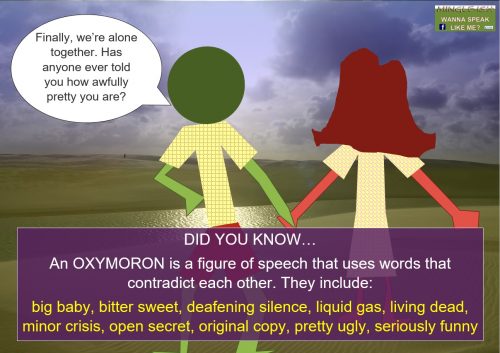 weird english facts - oxymoron