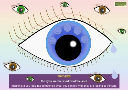 proverbs - the eyes are the window to the soul