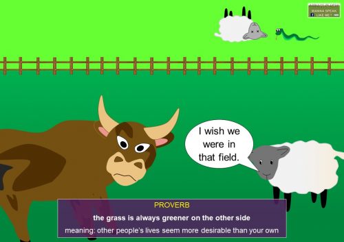 proverbs - the grass is always greener on the other side