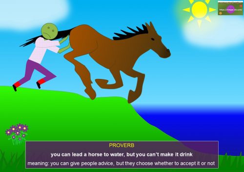 proverbs - you can lead a horse to water