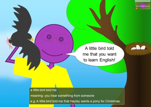 bird idioms - a little bird told me