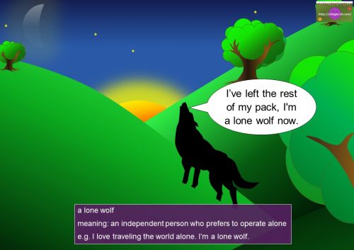 wolf sayings - a lone wolf