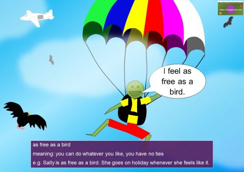 bird idioms and expressions - as free as a bird