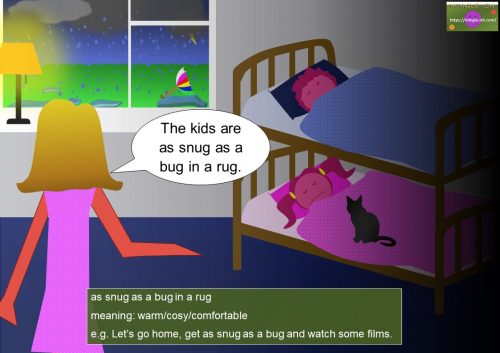 bug idioms and expressions list - as snug as a bug in a rug meaning
