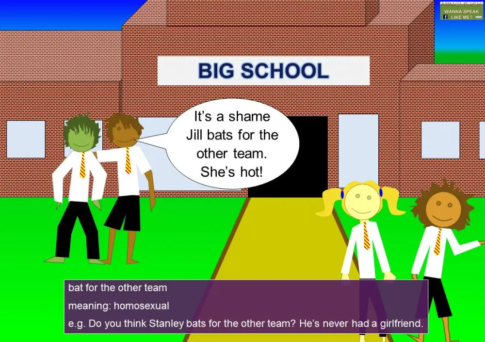 Cricket idioms and expressions Mingleish