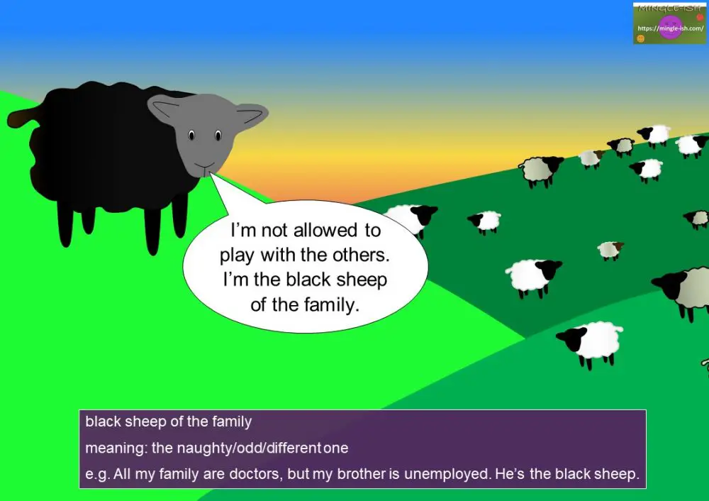 Sheep idioms and sayings Mingleish