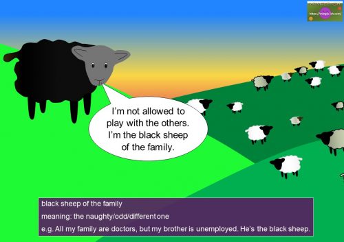 family member vocabulary - black sheep of the family
