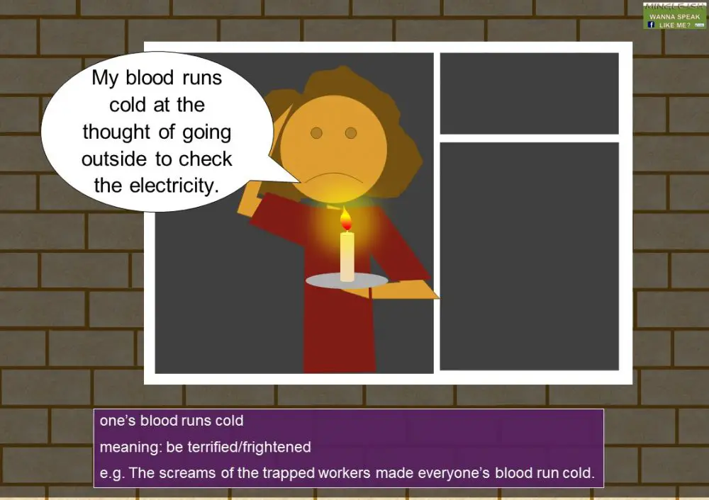 COLD idioms (idioms with adjectives) Mingleish