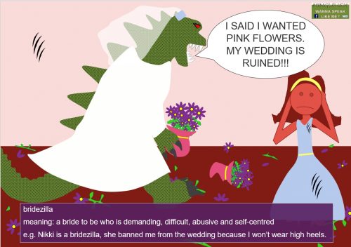 marriage idioms - bridezilla