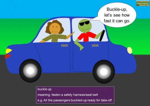 buckle idioms - buckle up
