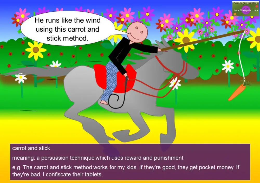 Fruit, nuts & vegetable idioms Mingleish