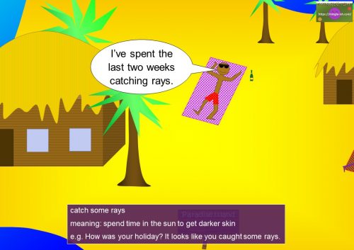phrases with ray - catch some rays meaning