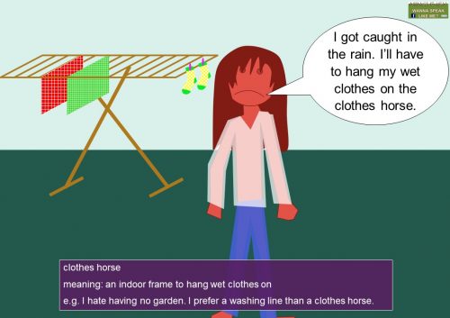 household idioms - clothes horse