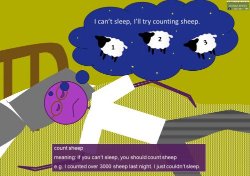 sheep sayings - count sheep