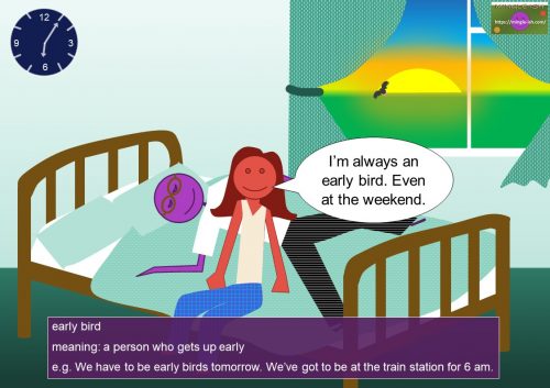 bird idioms - early bird