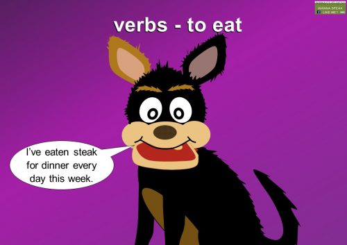 verb examples - eat