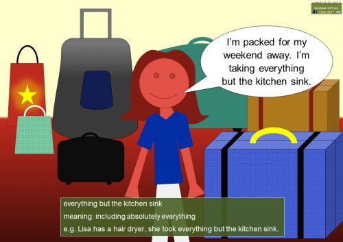 kitchen idioms - everything but the kitchen sink