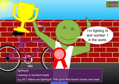 good health idioms - fighting fit