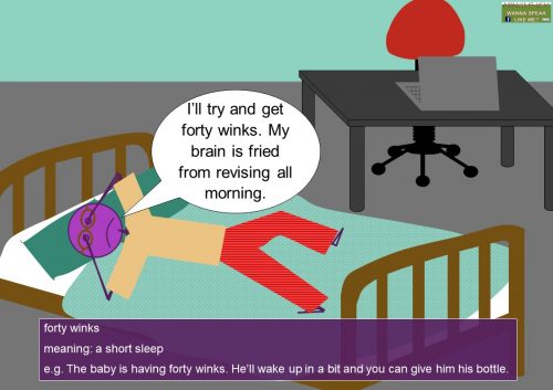 number idioms - forty winks