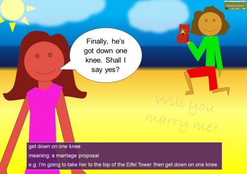 marriage idioms - get down on one knee