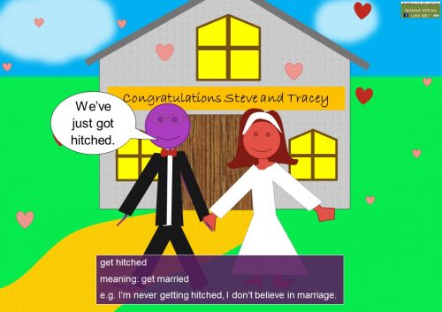 marriage idioms - get hitched