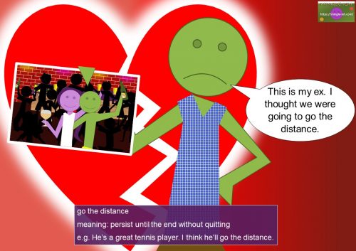 Idioms with verbs - GO - go the distance