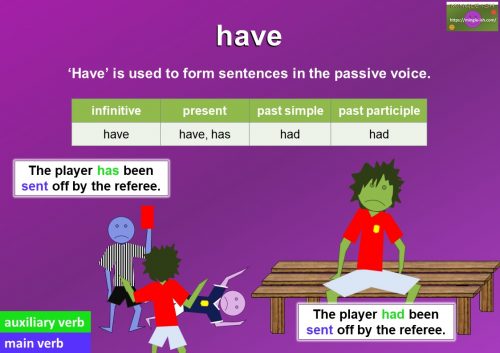 auxiliary verb 'have' examples sentences