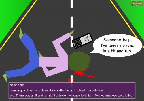 vehicle idioms - hit and run