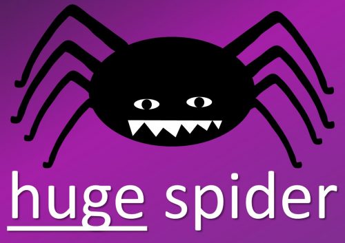 adjective examples - huge spider