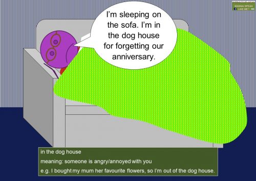 house idioms - in the dog house
