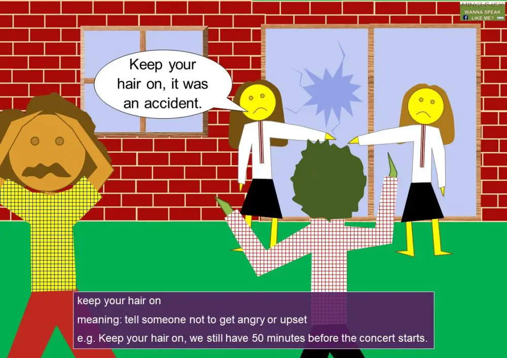 HAIR idioms (body idioms) Mingleish