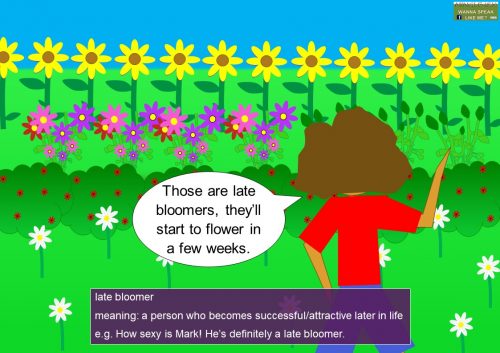 plant idioms - late bloomer