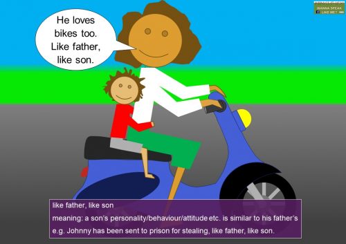love idioms - like father, like son