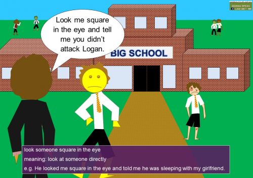 verb phrase - look someone square in the eye
