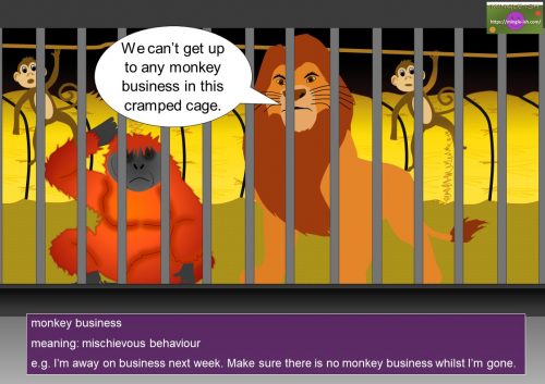 business idioms and expressions - monkey business