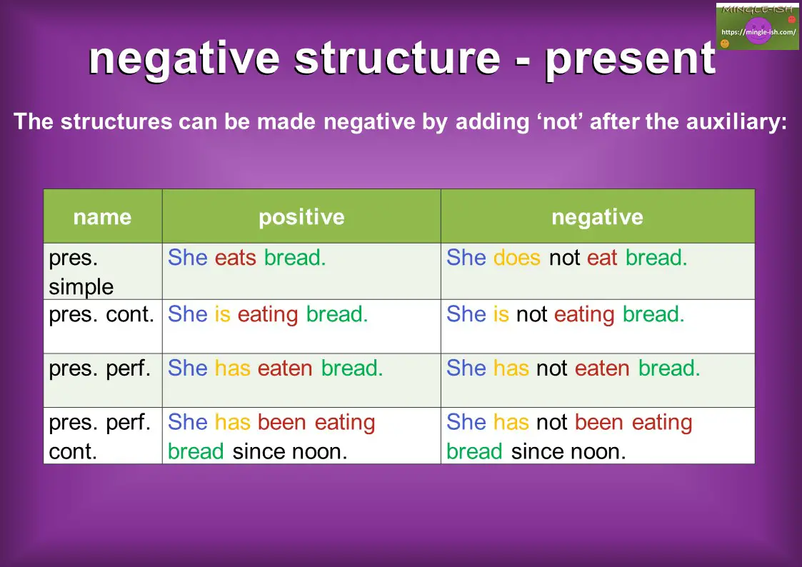 Negative Structures in English