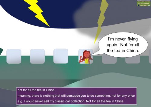 tea idioms - not for all the tea in china