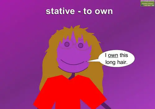 stative (state) verb examples - to own