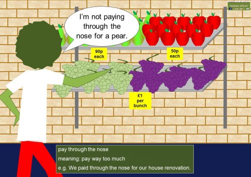 Common body idioms NOSE in English - pay through the nose