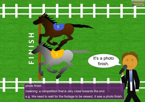 horse racing quote - photo finish