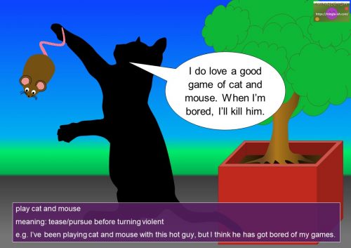 mouse idioms - play cat and mouse