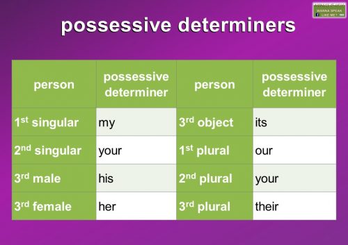 possessive determiners list