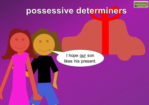 possessive determiner examples
