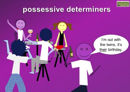possessive determiner examples