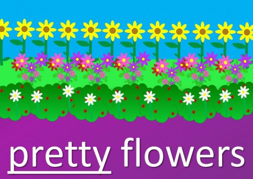 adjective examples - pretty flowers