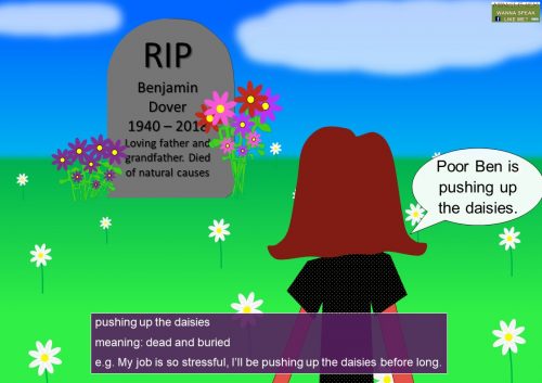 death idioms - pushing up the daisies