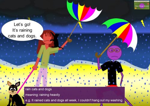 cat idioms - rain cats and dogs
